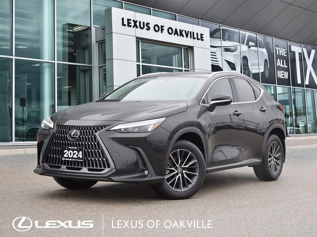 2024 Lexus NX