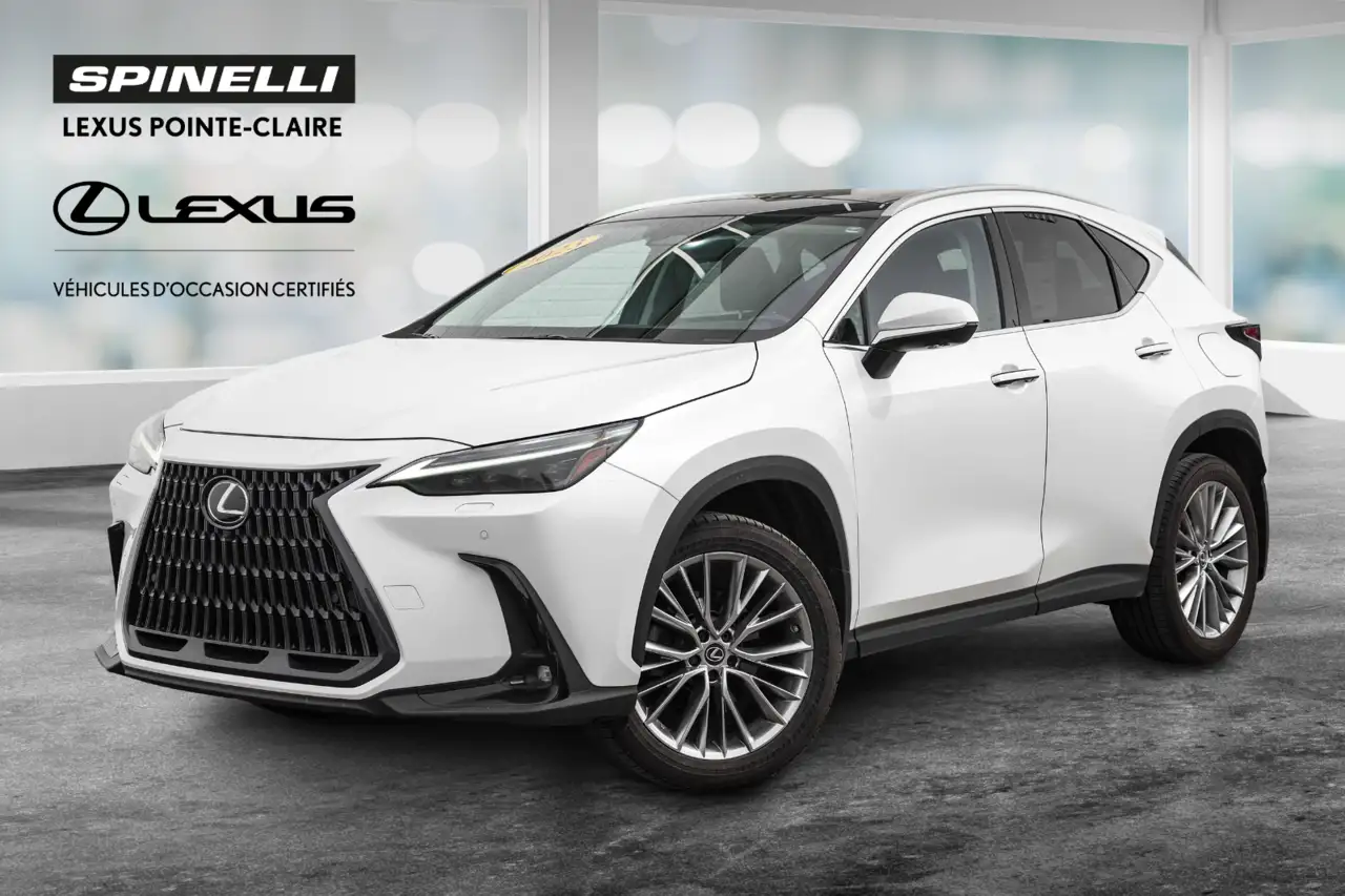 2023 Lexus NX