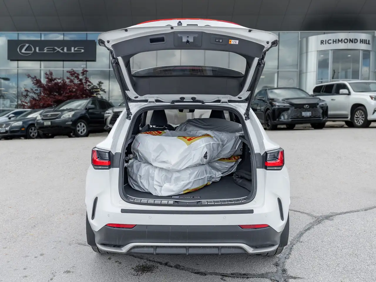 Lexus NX снимка Lexus NX