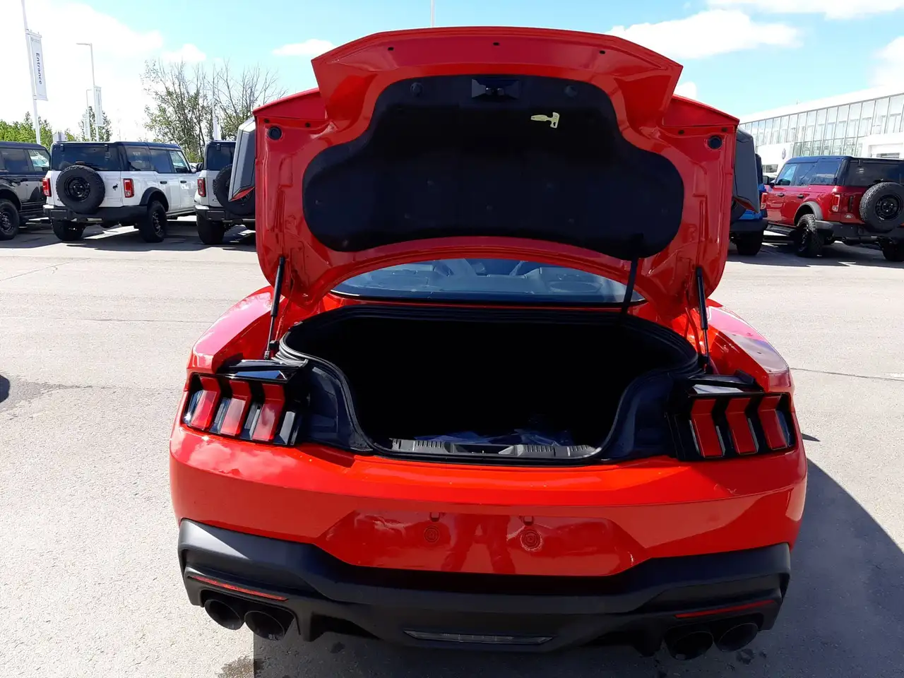 Ford Mustang fotografie Ford Mustang