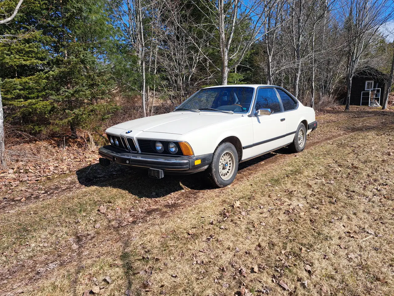 1979 BMW 6 Series