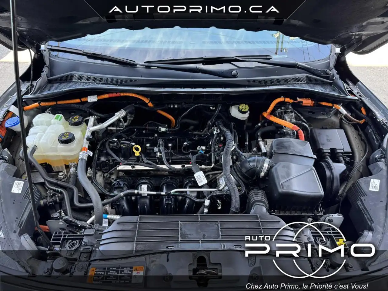 Ford Escape photo Ford Escape