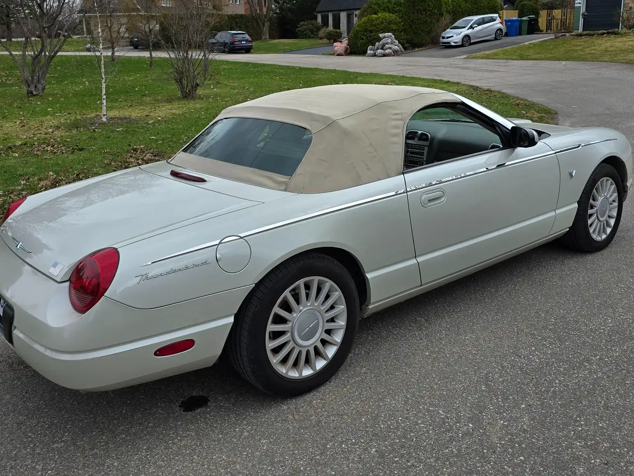 Ford Thunderbird photo Ford Thunderbird