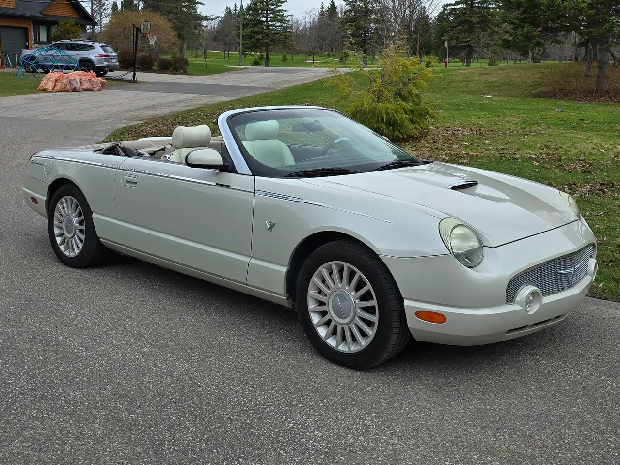 Ford Thunderbird photo Ford Thunderbird