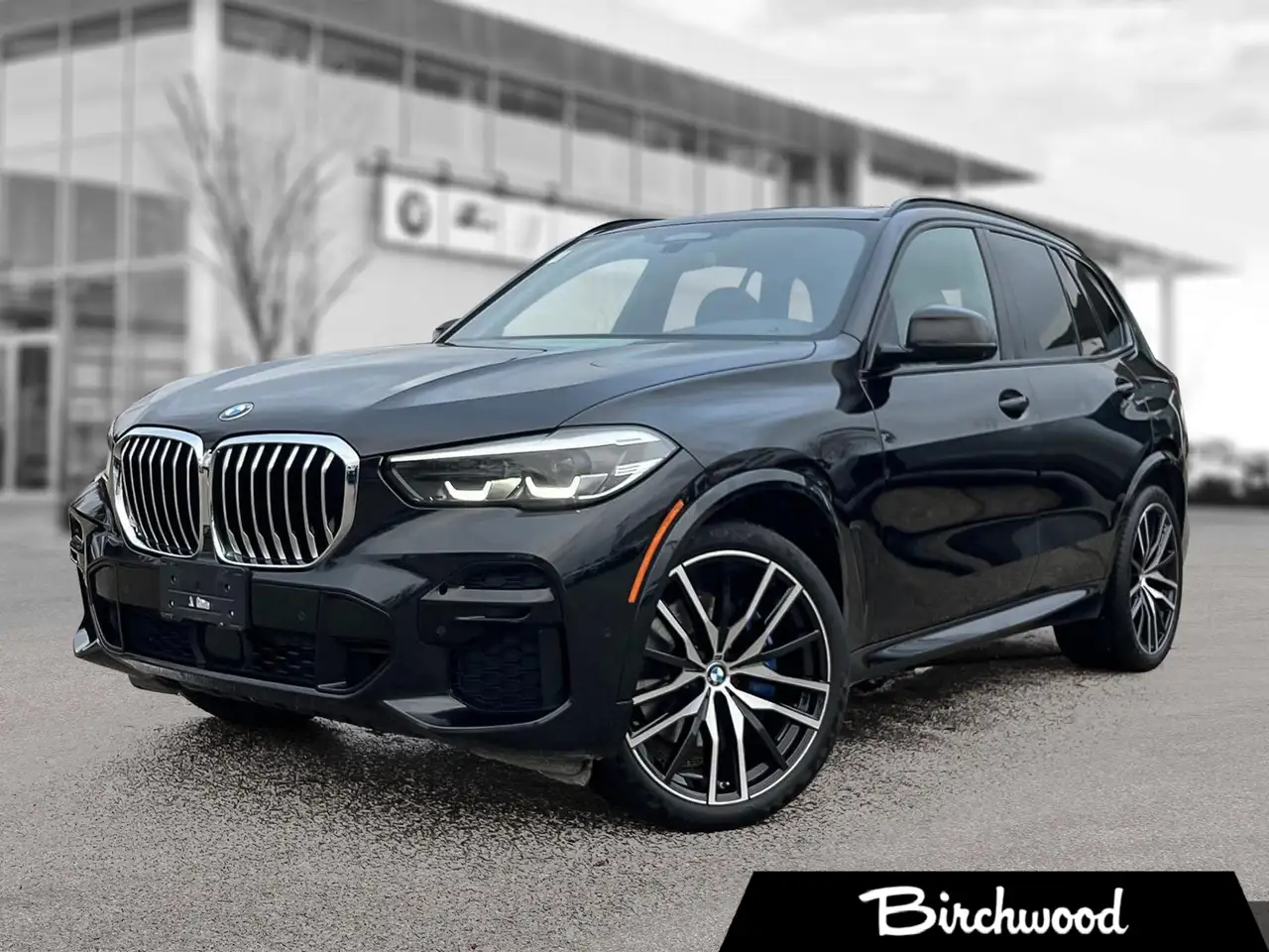 BMW X5 fotografie BMW X5