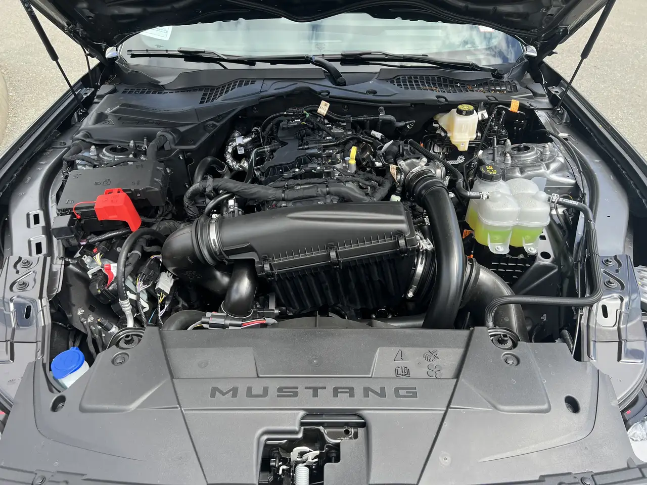 Ford Mustang снимка Ford Mustang
