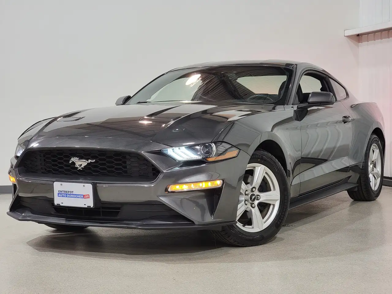 Ford Mustang fotografie Ford Mustang