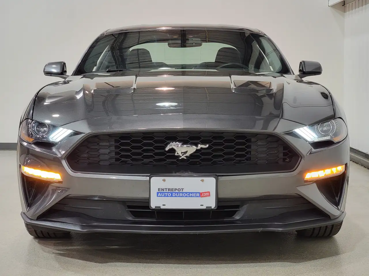 Ford Mustang fotografie Ford Mustang