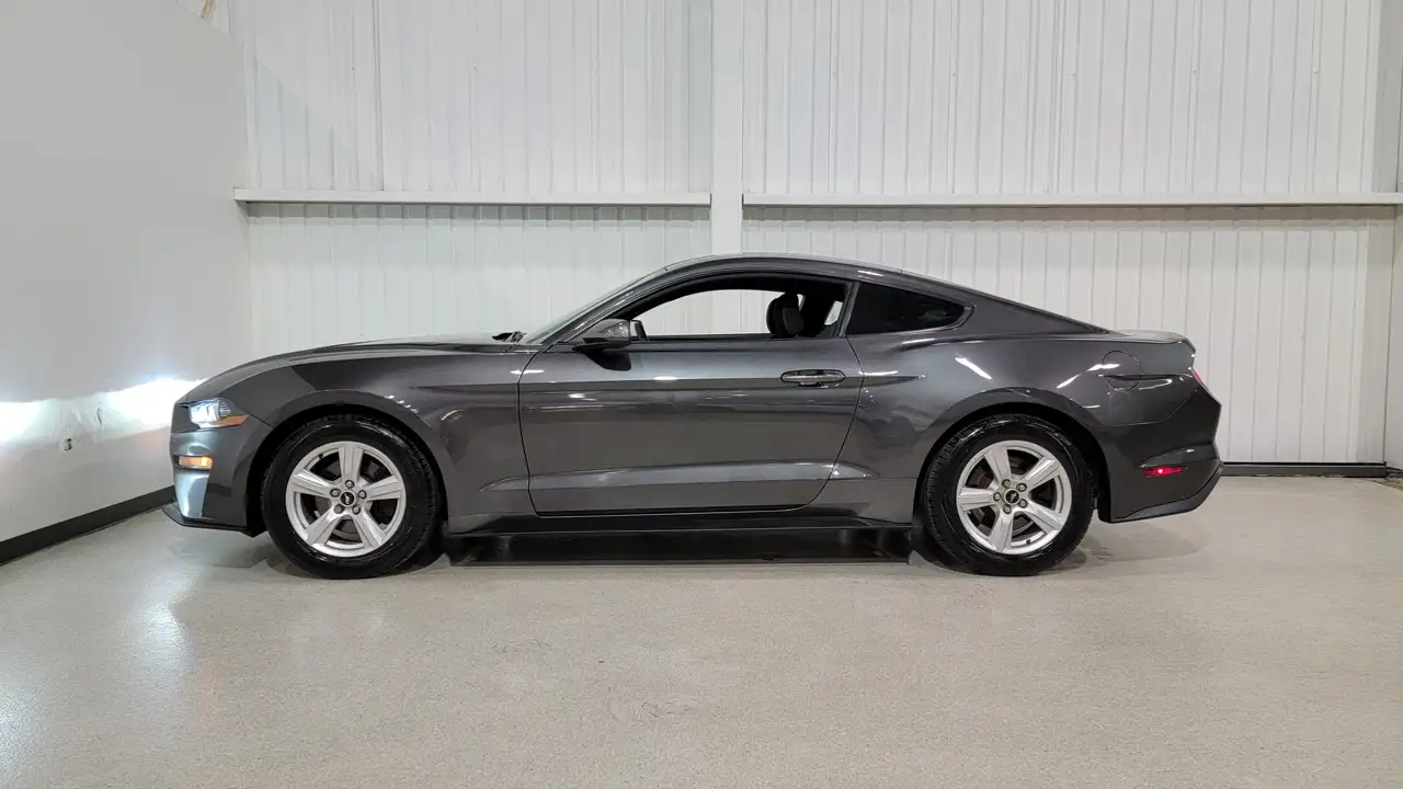 Ford Mustang fotografie Ford Mustang