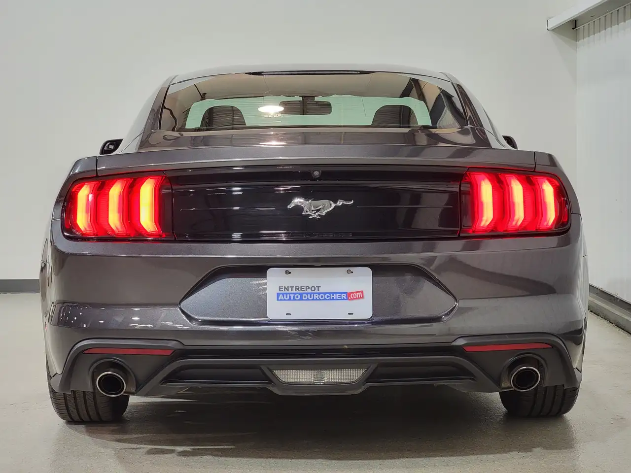 Ford Mustang fotografie Ford Mustang