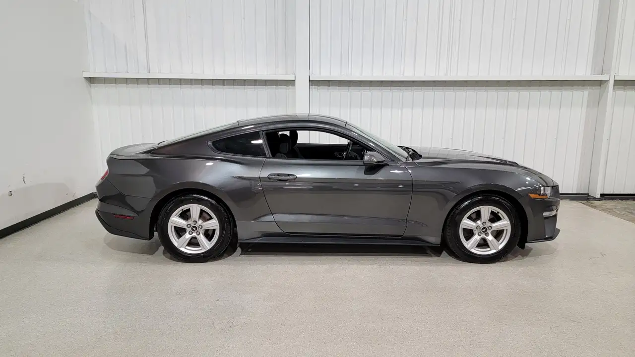 Ford Mustang fotografie Ford Mustang