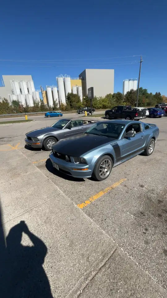 Ford Mustang снимка Ford Mustang