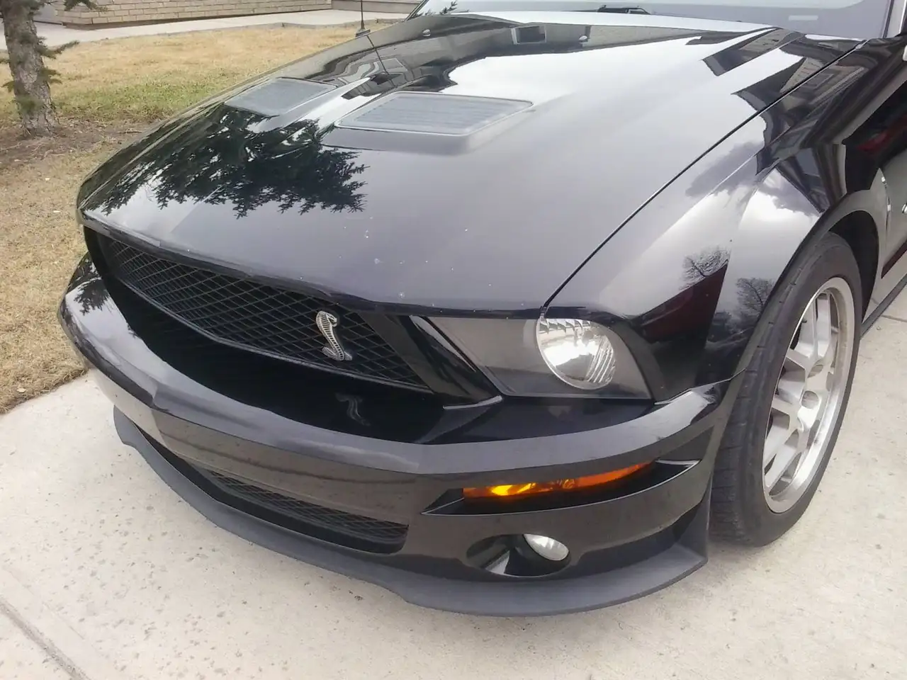 Ford Mustang снимка Ford Mustang