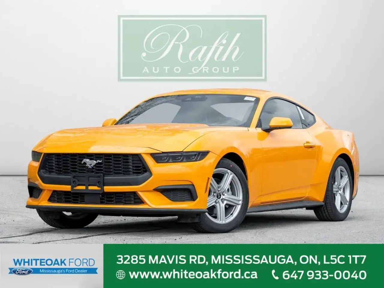 Ford Mustang fotografie Ford Mustang