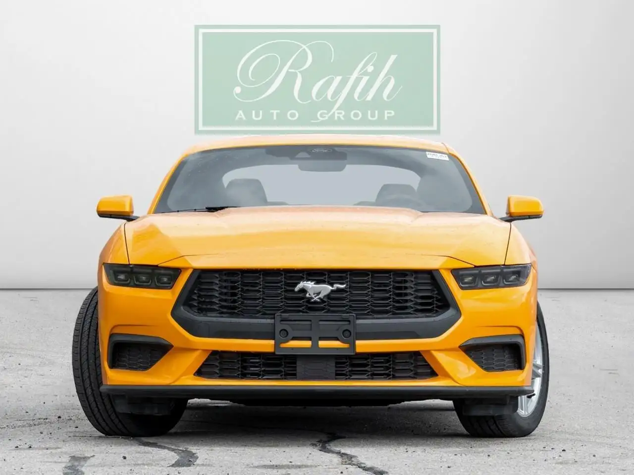 Ford Mustang fotografie Ford Mustang