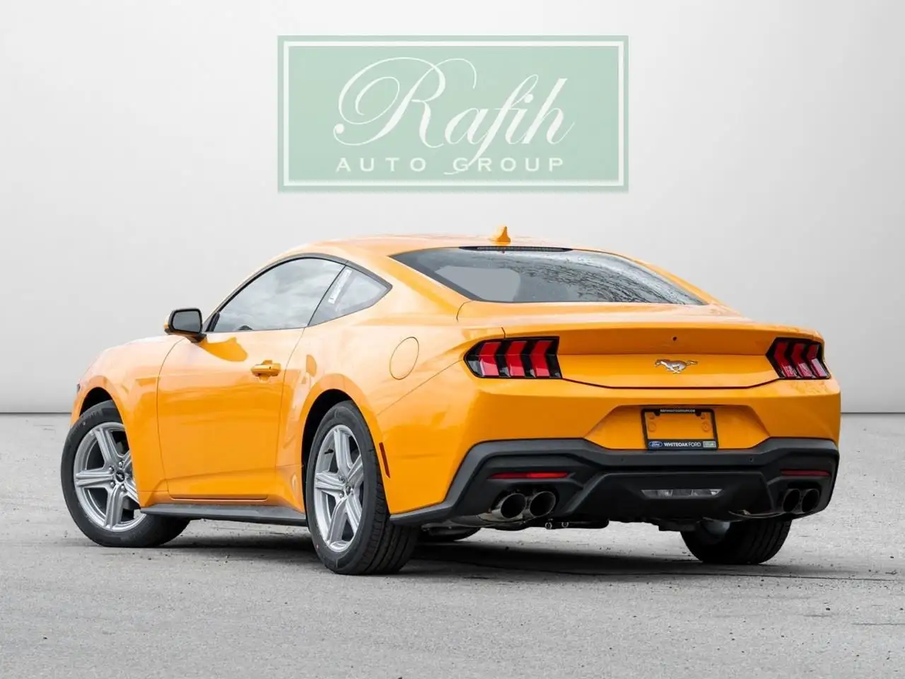 Ford Mustang fotografie Ford Mustang