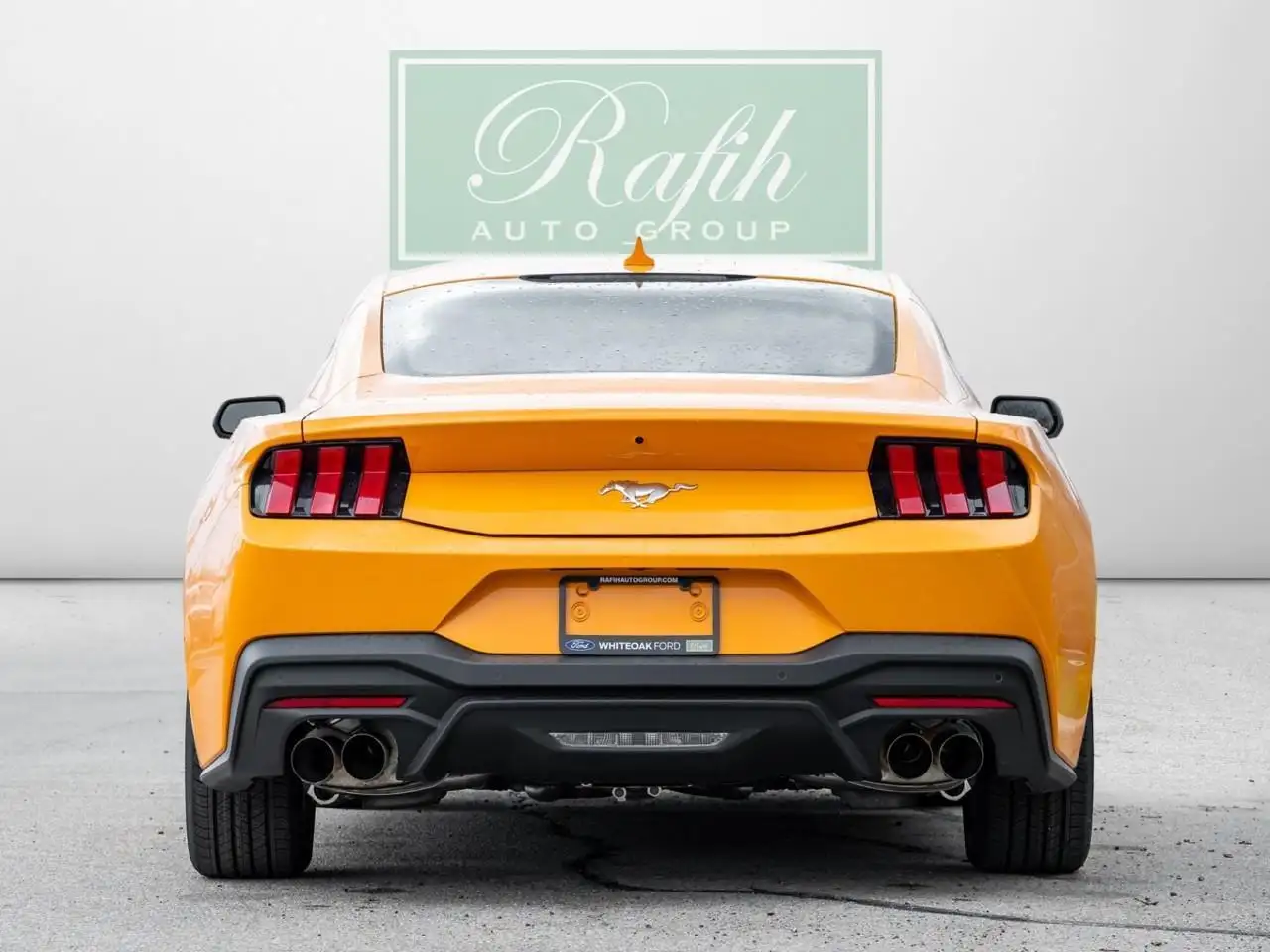 Ford Mustang fotografie Ford Mustang