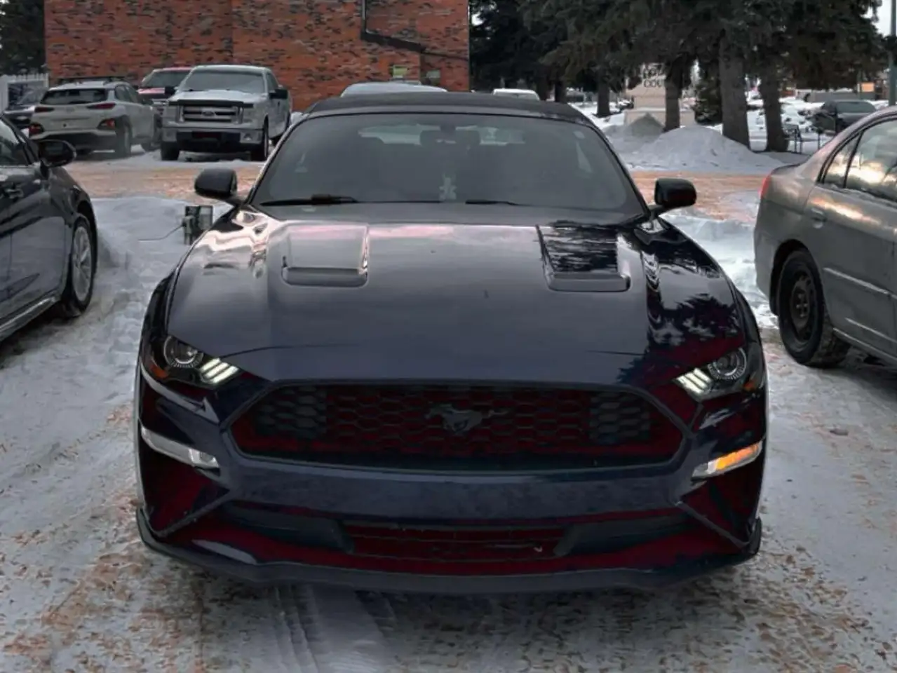 2019 Ford Mustang