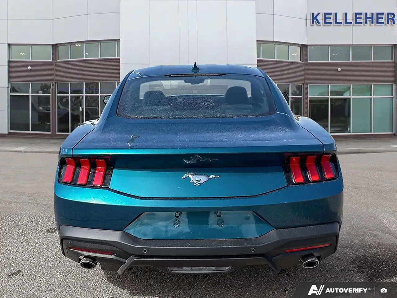 Ford Mustang fotografie Ford Mustang