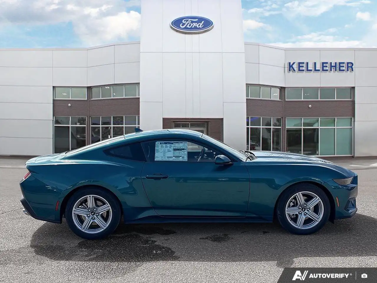 Ford Mustang fotografie Ford Mustang