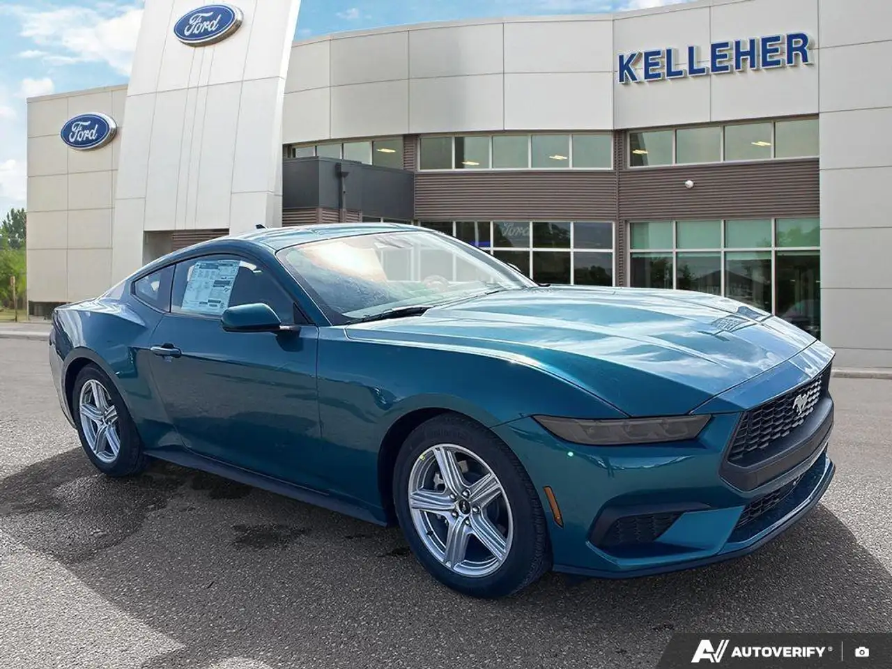 Ford Mustang fotografie Ford Mustang