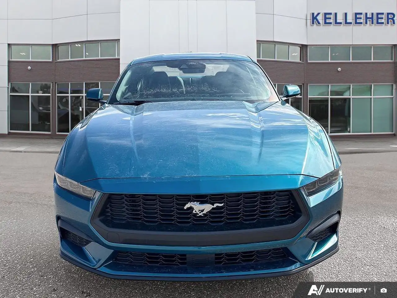 Ford Mustang fotografie Ford Mustang
