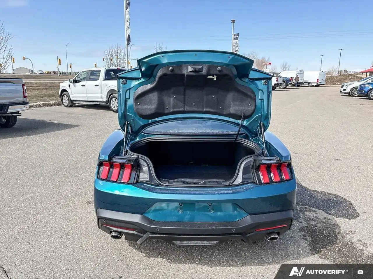 Ford Mustang fotografie Ford Mustang