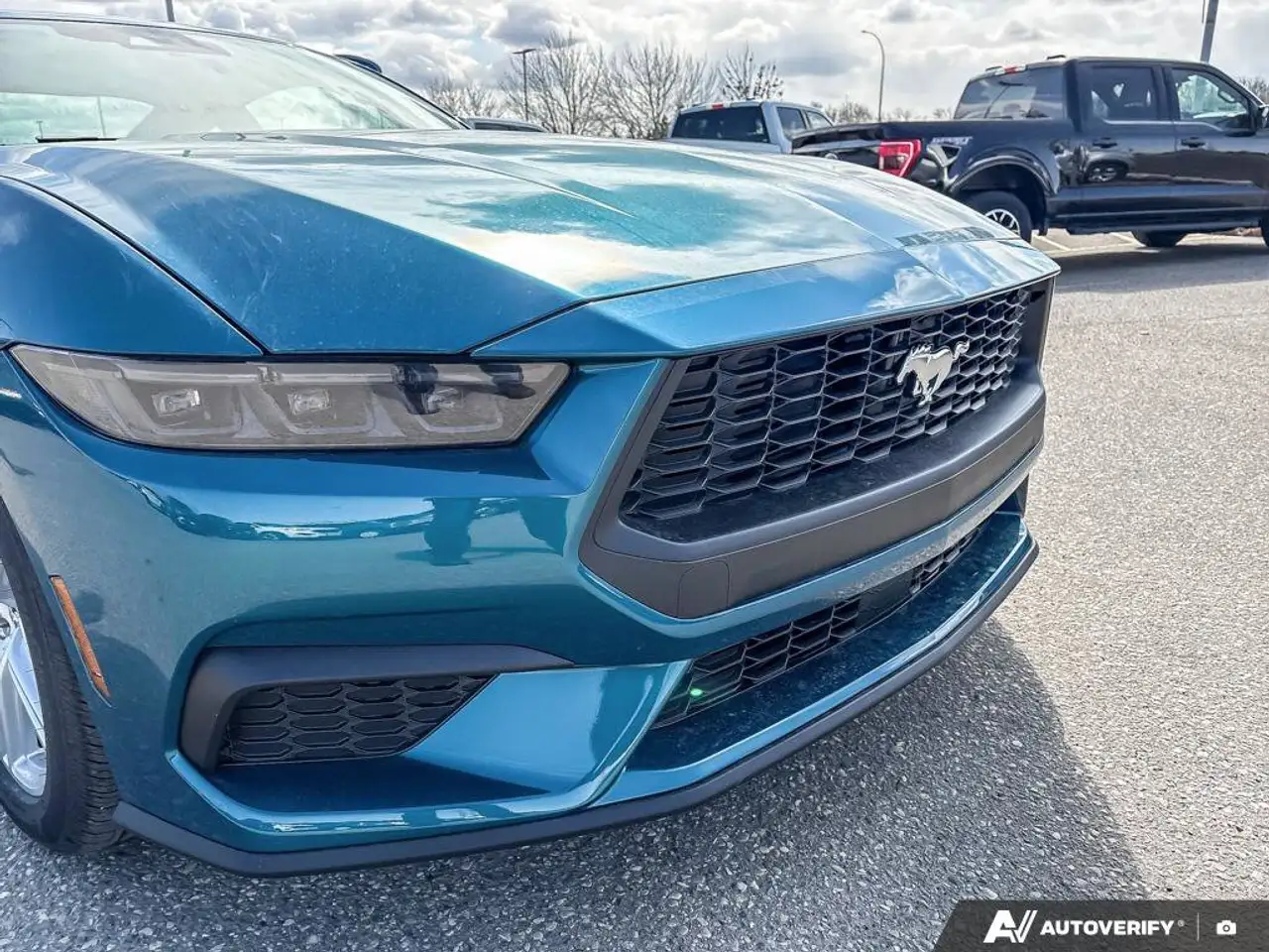 Ford Mustang fotografie Ford Mustang