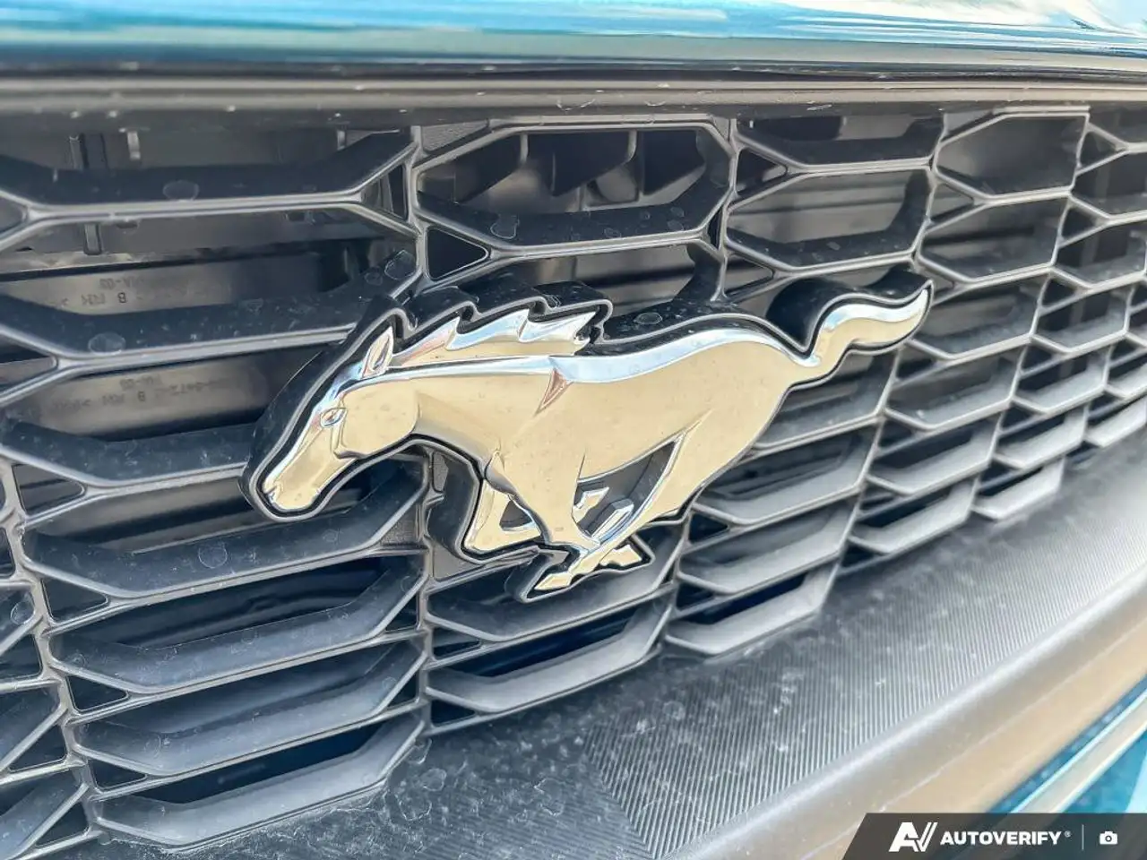 Ford Mustang fotografie Ford Mustang
