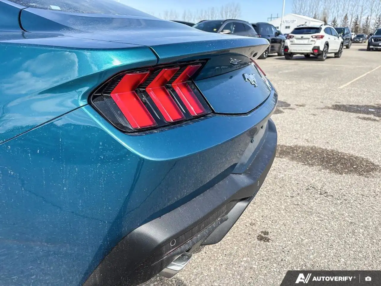 Ford Mustang fotografie Ford Mustang