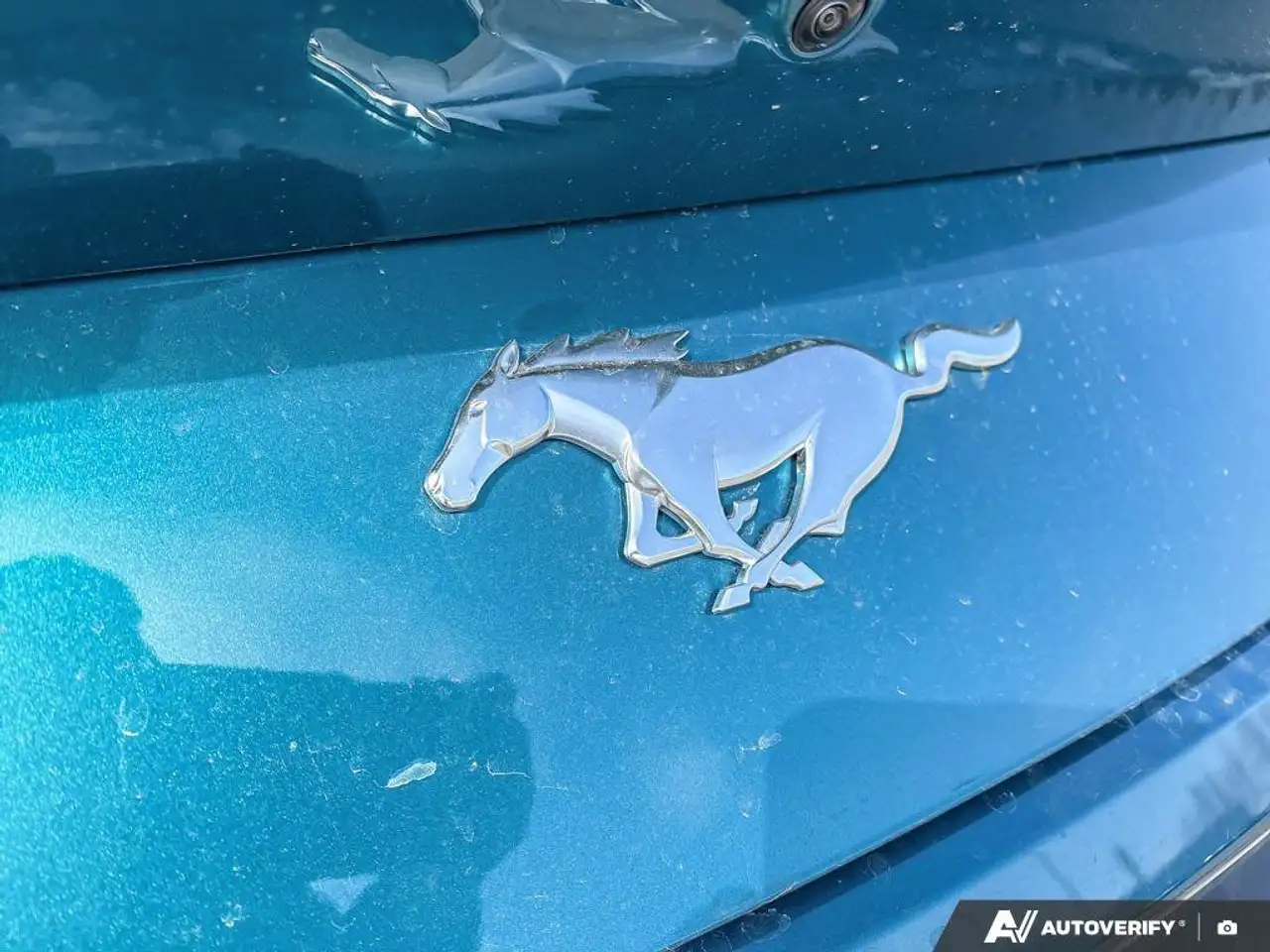 Ford Mustang fotografie Ford Mustang
