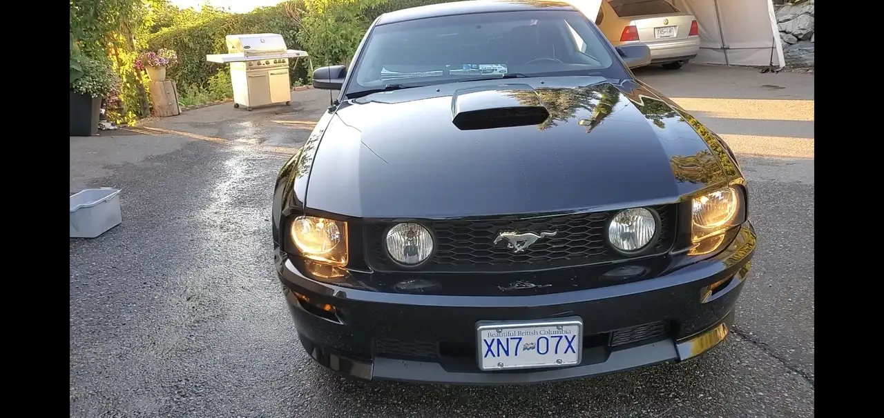 Ford Mustang fotografie Ford Mustang