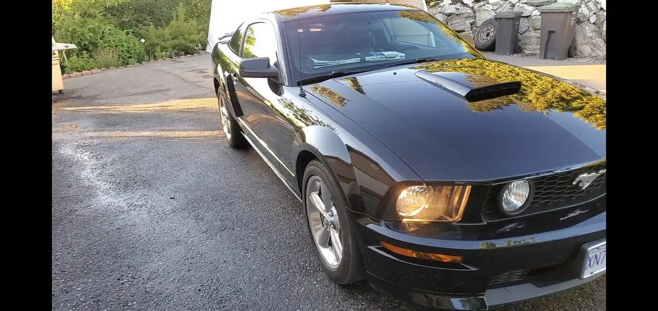 Ford Mustang fotografie Ford Mustang