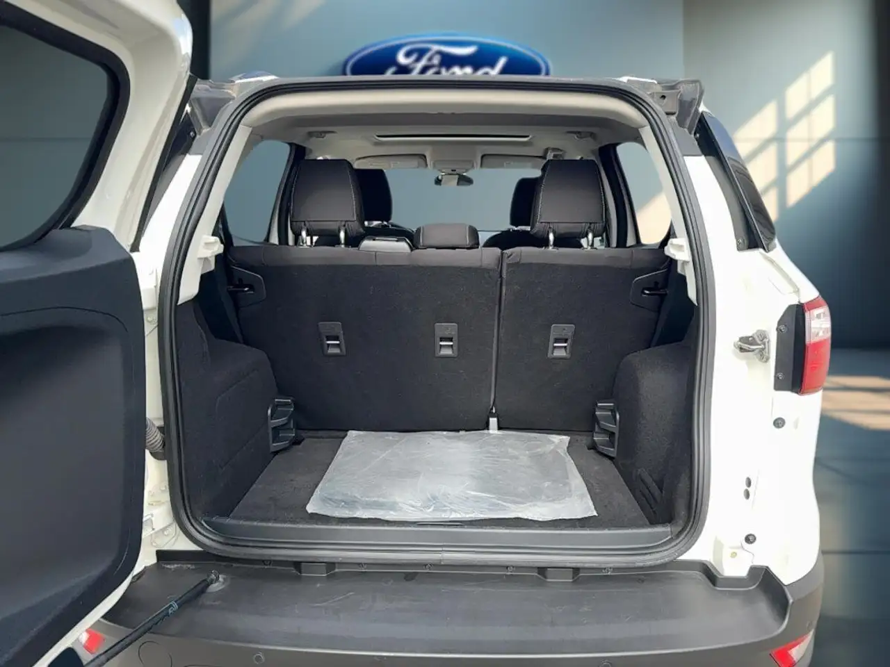 Ford EcoSport снимка Ford EcoSport