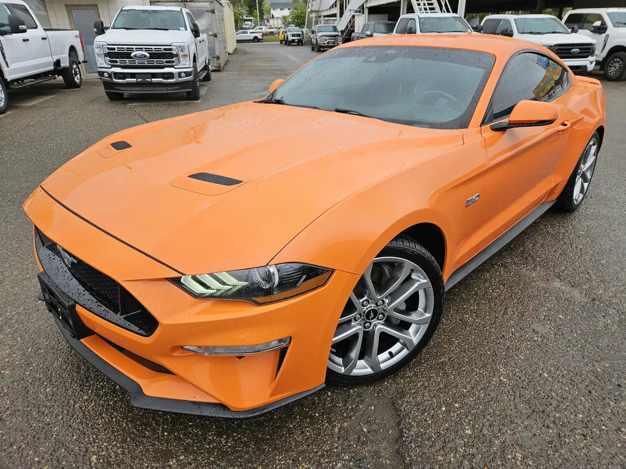 Ford Mustang photo Ford Mustang