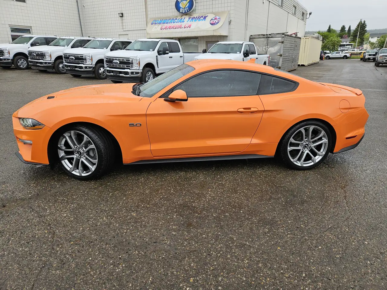 Ford Mustang photo Ford Mustang