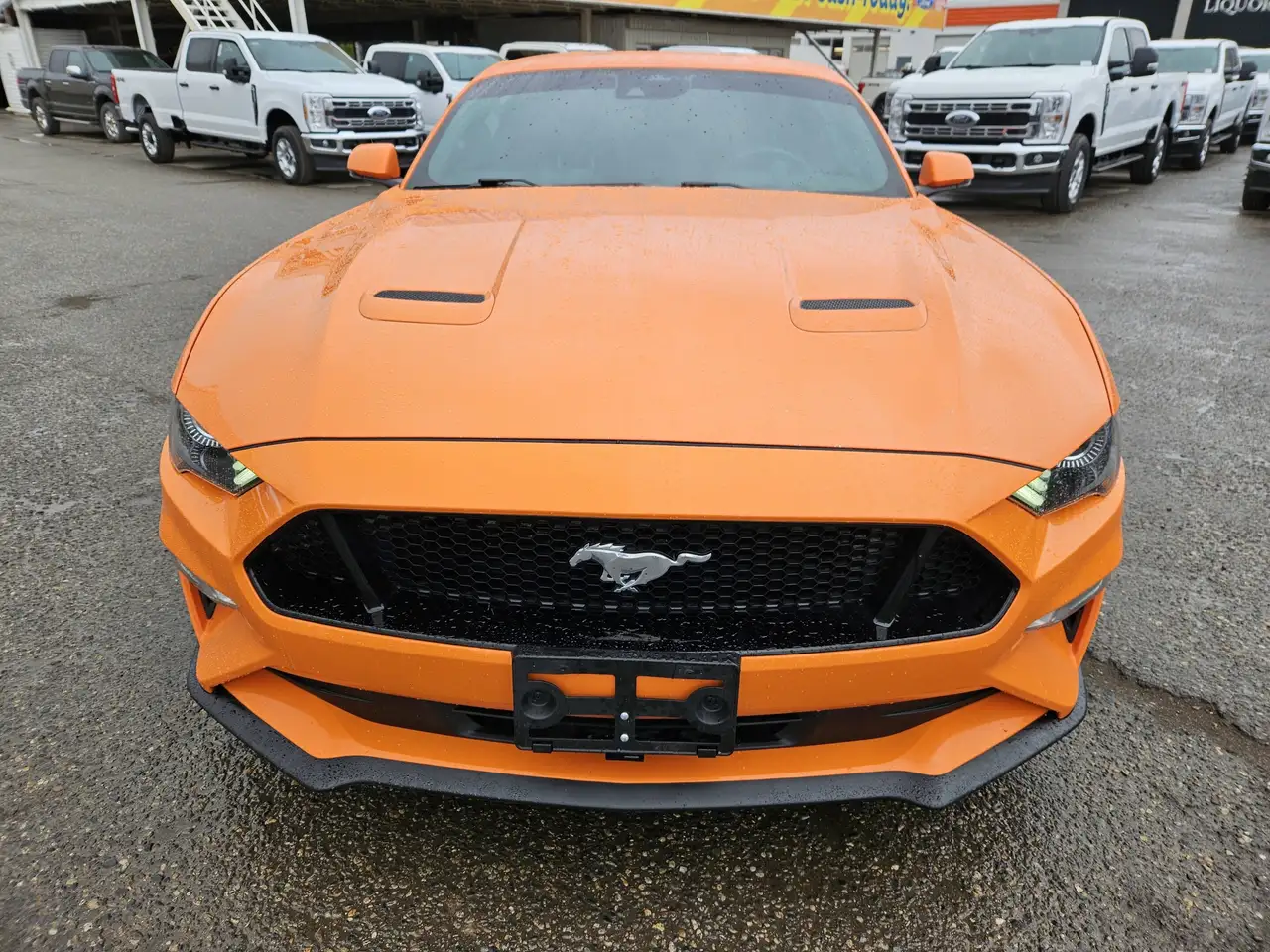 Ford Mustang photo Ford Mustang