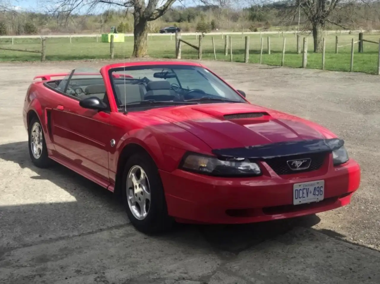 Ford Mustang fotografie Ford Mustang