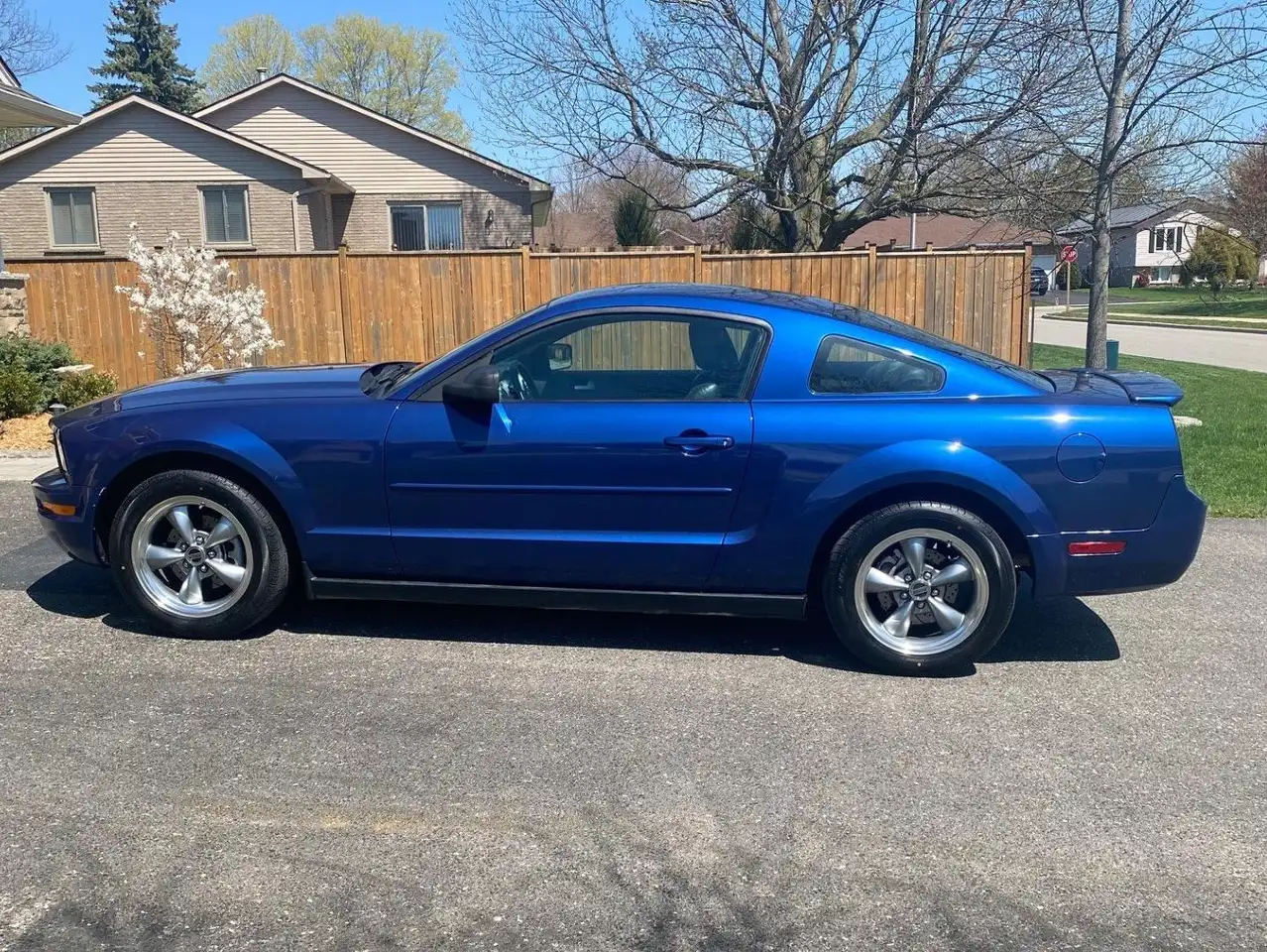 Ford Mustang photo Ford Mustang