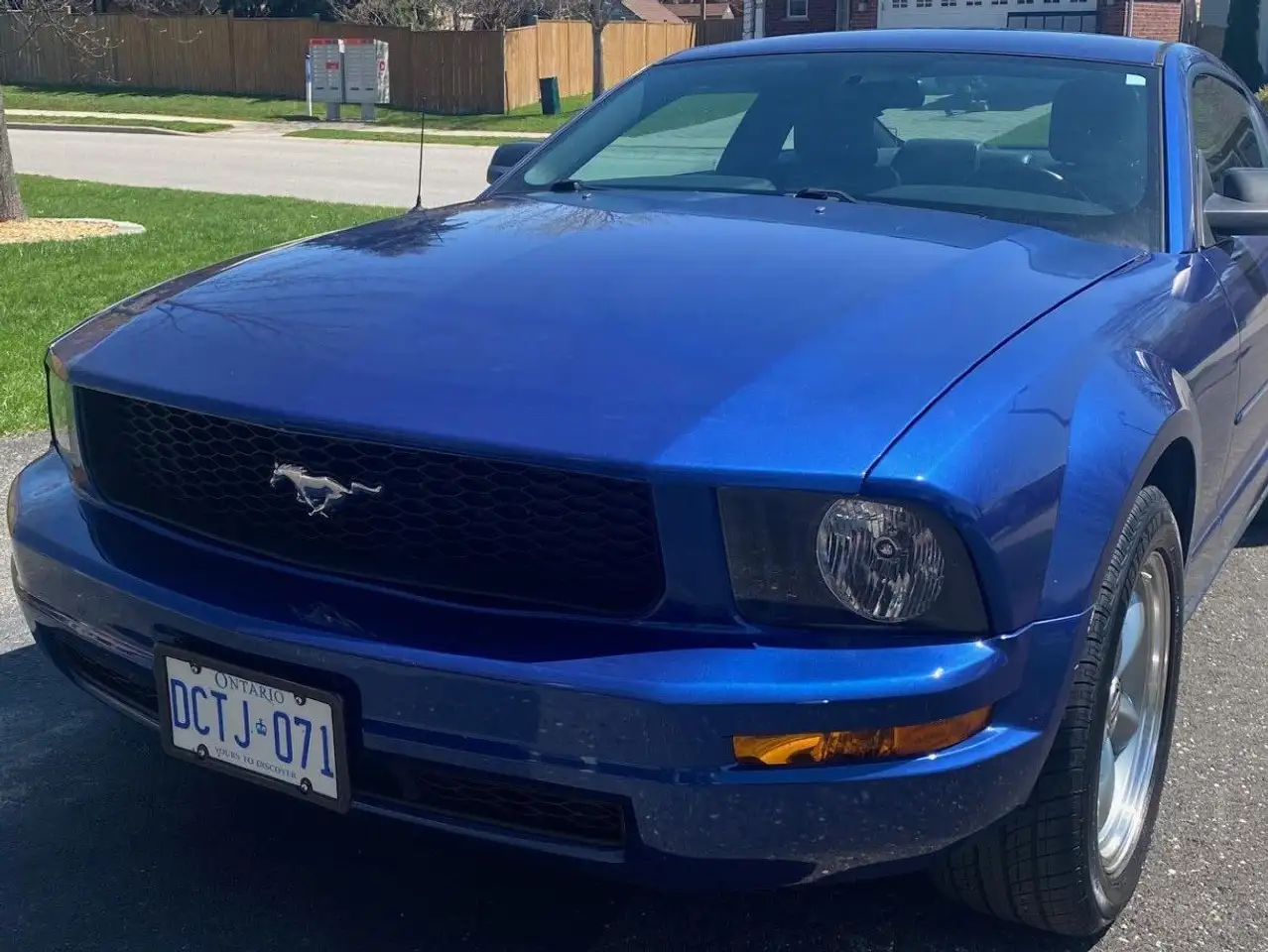 Ford Mustang photo Ford Mustang