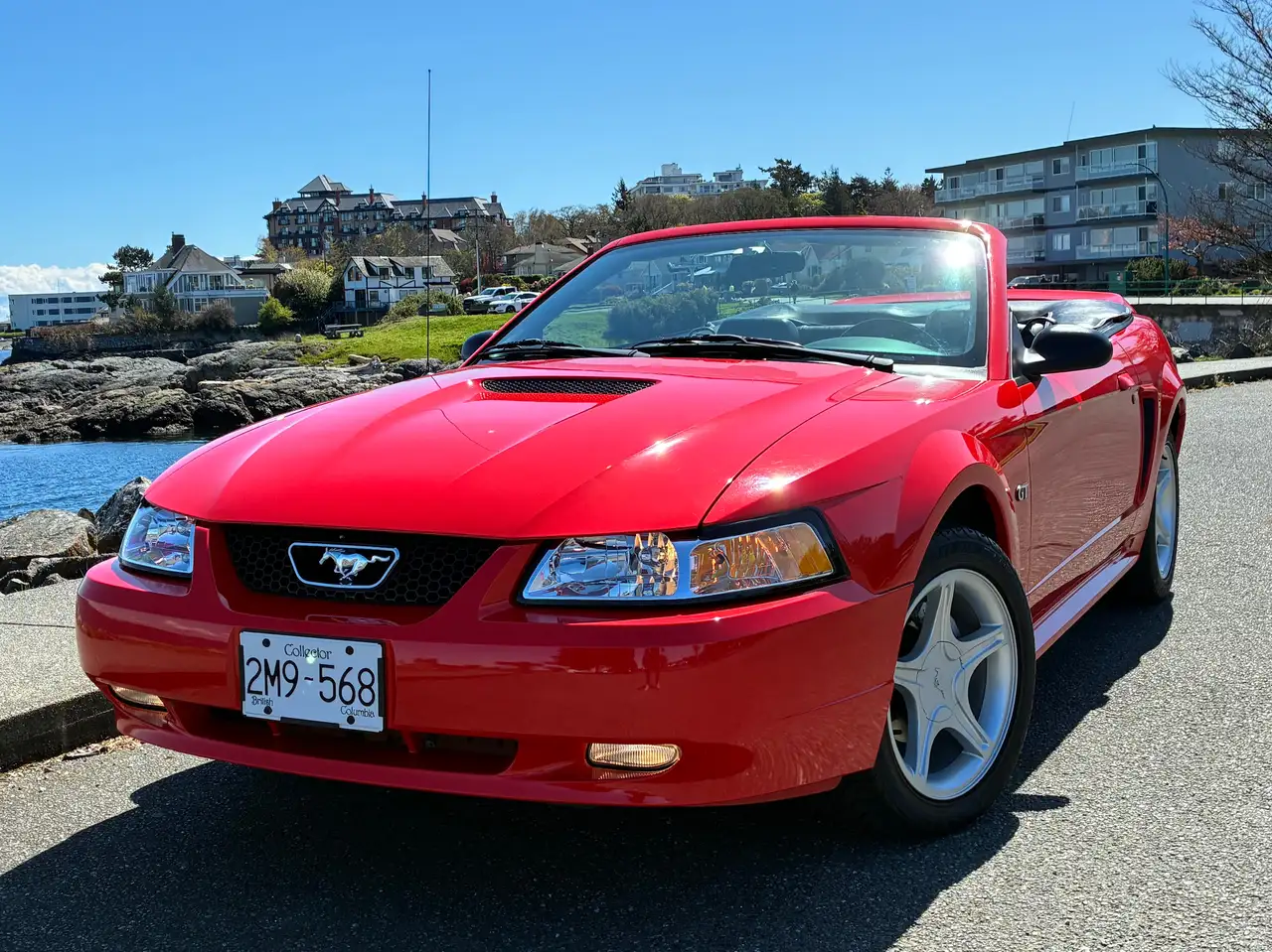 Ford Mustang photo Ford Mustang