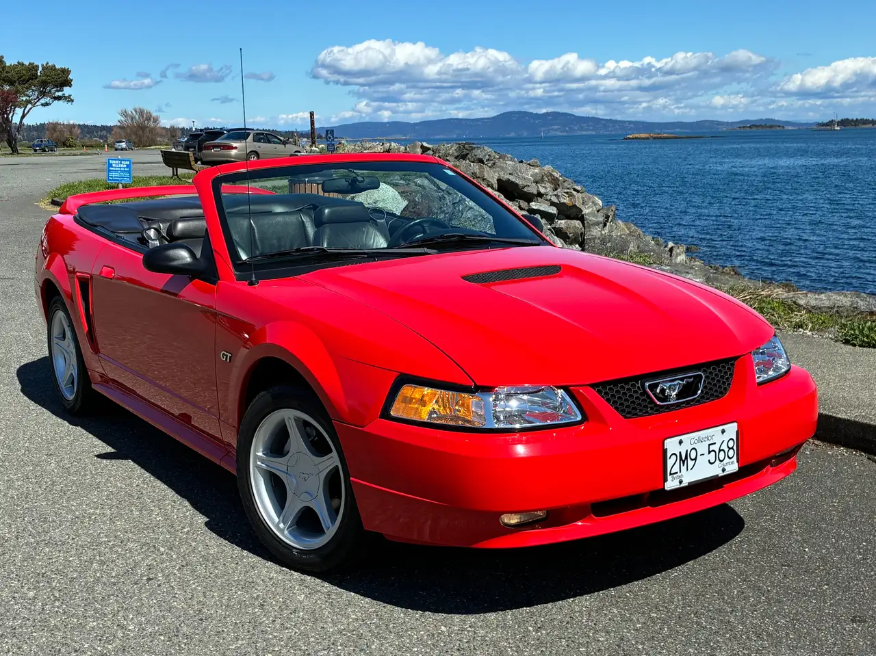 Ford Mustang photo Ford Mustang