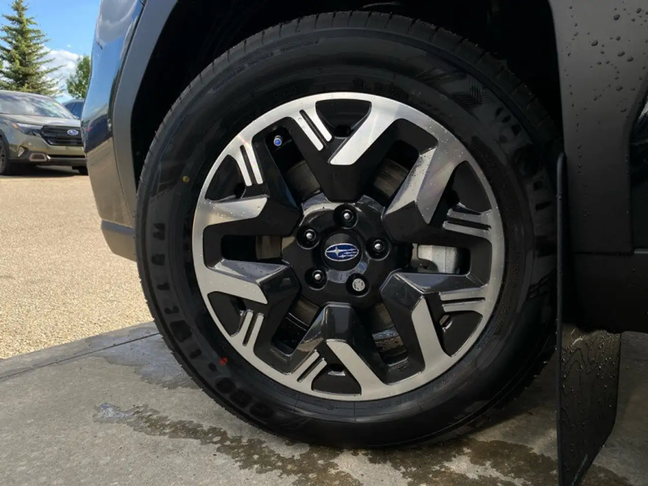Subaru Forester fotografie Subaru Forester