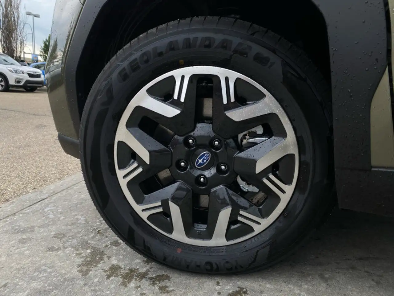 Subaru Forester photo Subaru Forester