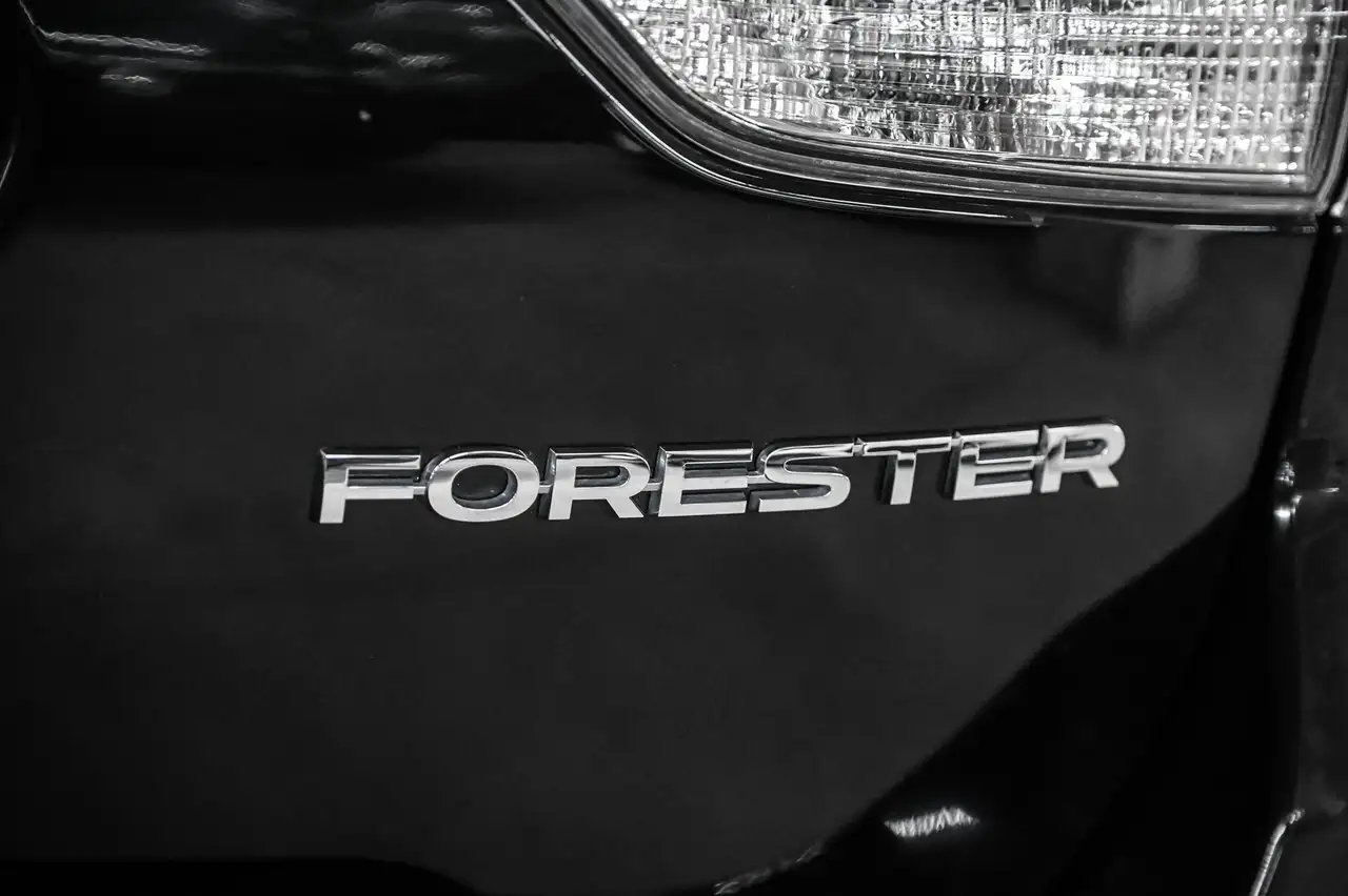 Subaru Forester fotografie Subaru Forester
