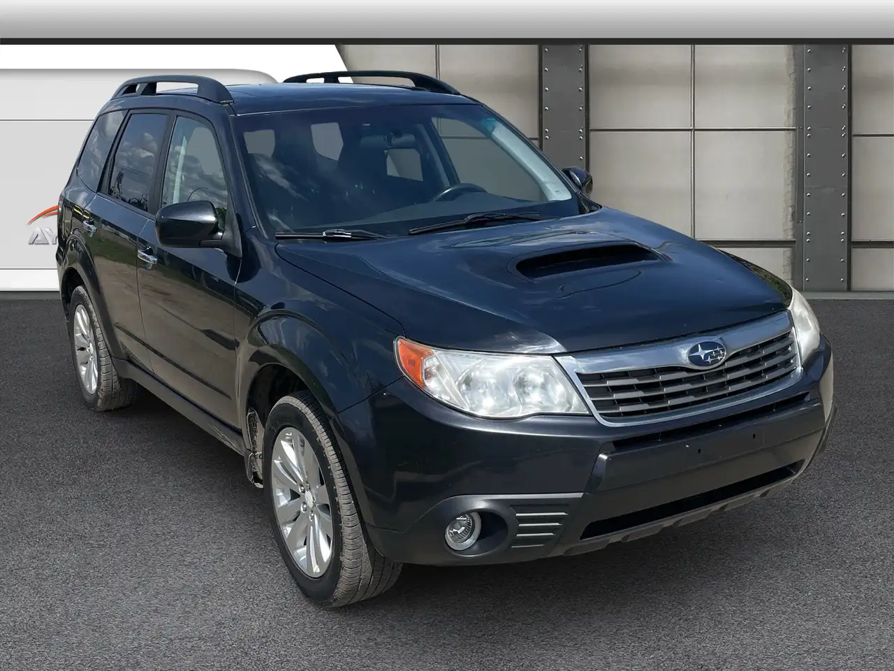 Subaru Forester fotografie Subaru Forester