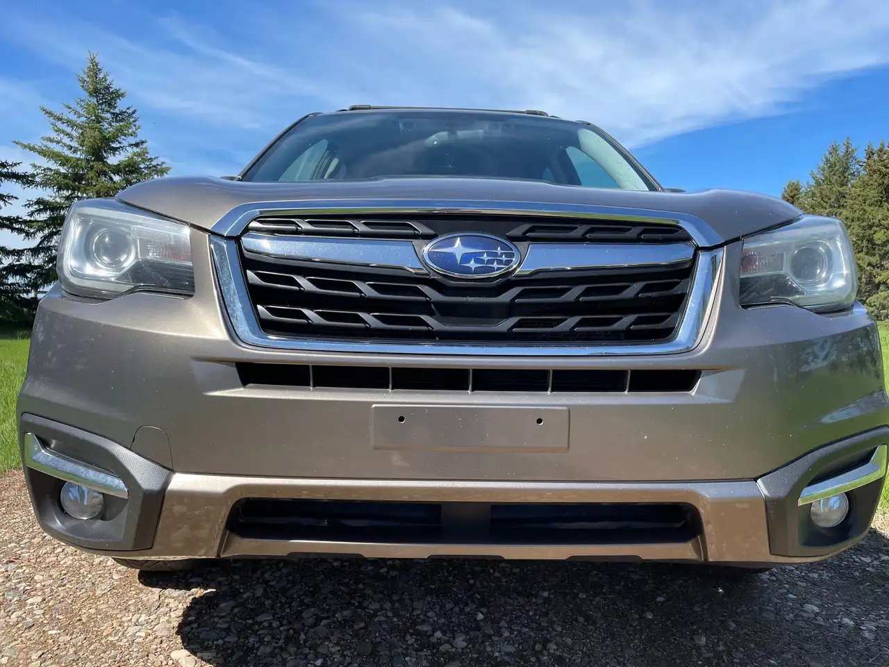 Subaru Forester photo Subaru Forester