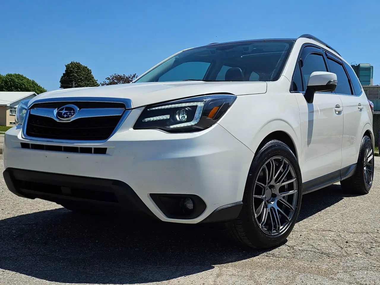 Subaru Forester fotografie Subaru Forester