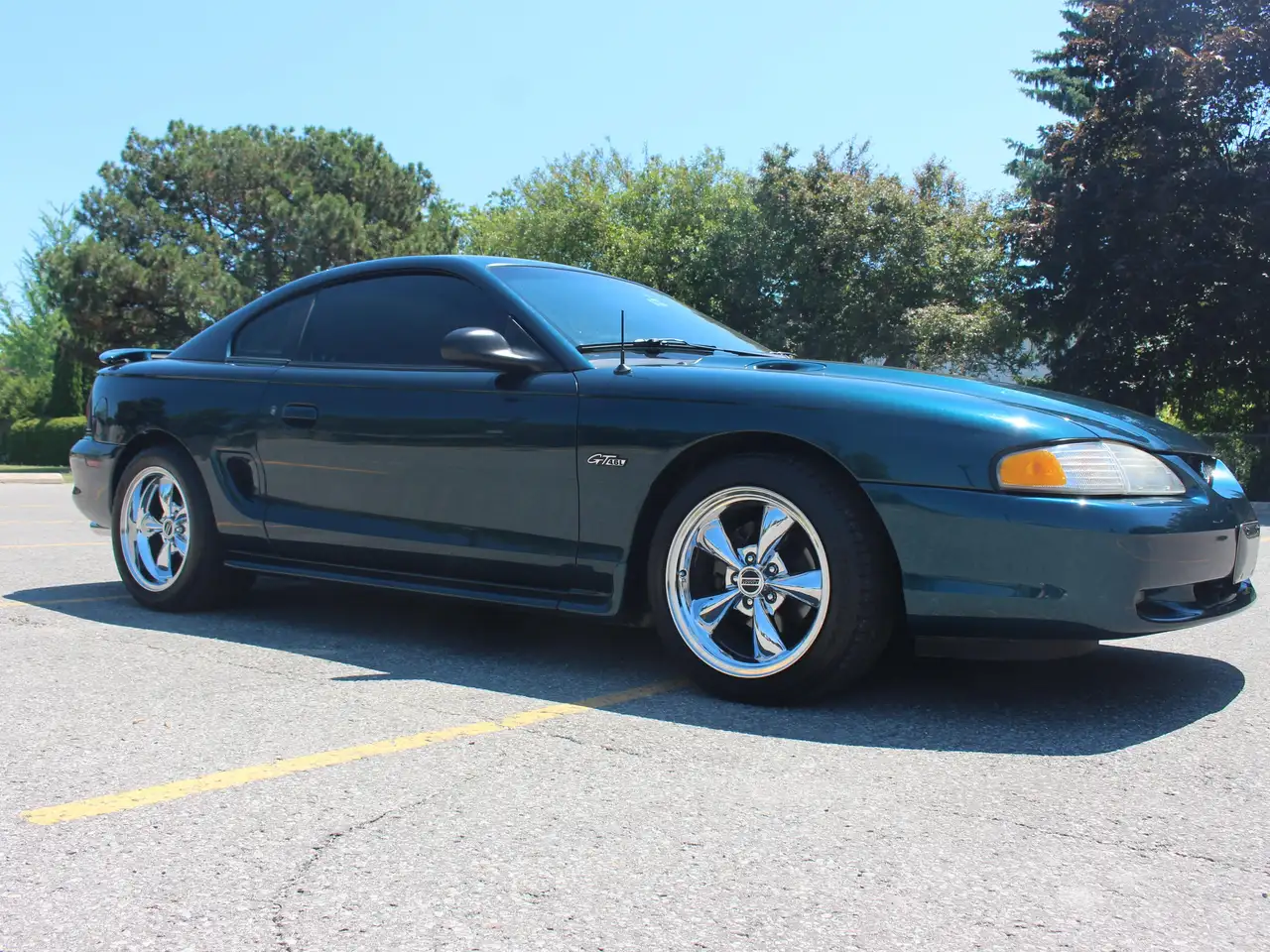 Ford Mustang fotografie Ford Mustang