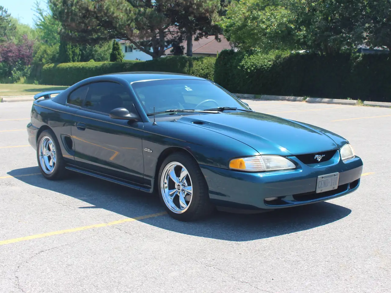 Ford Mustang fotografie Ford Mustang